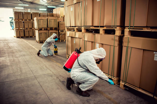 Best Best Pest Control Companies  in Dexter, MI