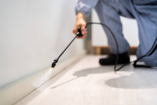 Reliable Dexter, MI Pest Control Solutions