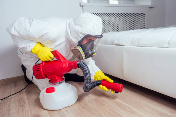 Best Insect Control  in Dexter, MI