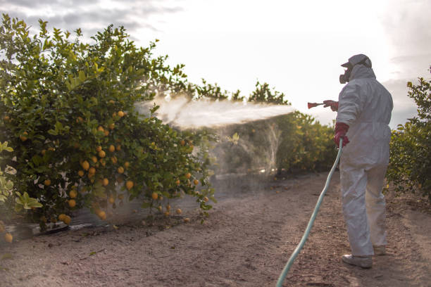 Best Bed Bug Extermination  in Dexter, MI