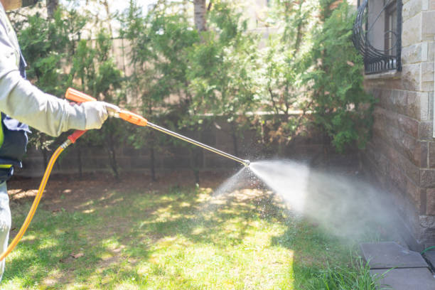 Best Rat Extermination Near Me  in Dexter, MI