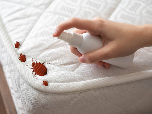 Best Pest Control Near Me  in Dexter, MI
