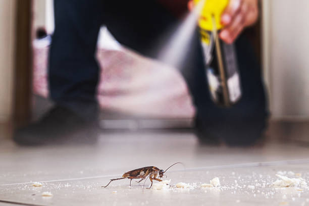 Best Emergency Pest Control  in Dexter, MI