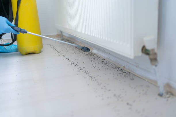 Best Residential Pest Control  in Dexter, MI