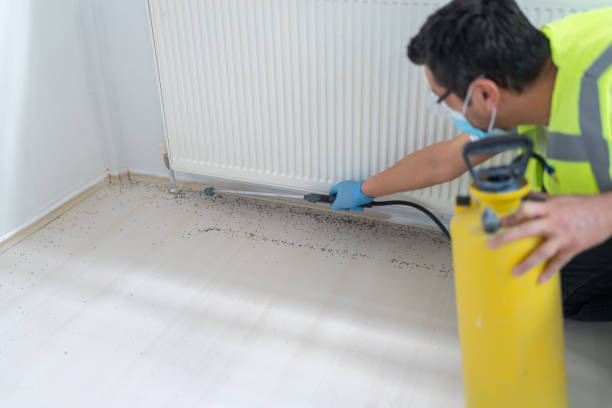 Best Local Pest Control Services  in Dexter, MI
