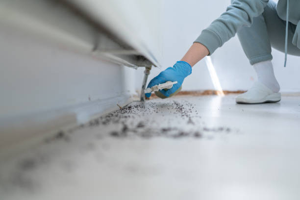 Best Ant Control Services  in Dexter, MI